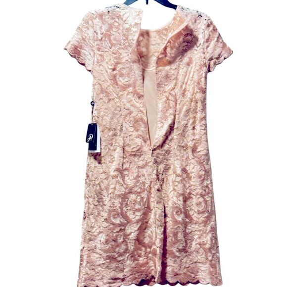 Adrianna Papell Women's Lace a Line Shift Dress Joyful Blush Wedding Lace dress - Picture 8 of 12